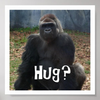Hug? Gorilla Poster