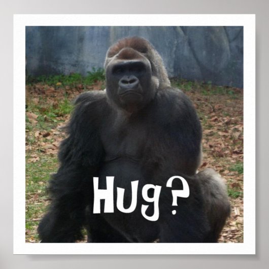 Hug? Gorilla Poster (Voorkant)