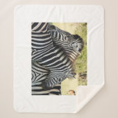 Hug Sherpa Deken (Voorkant)