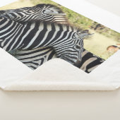 Hug Sherpa Deken (3/4)