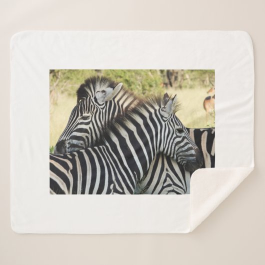 Hug Sherpa Deken (Voorkant (horizontaal))