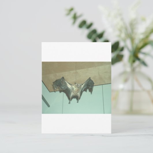 Huge Bat "vliegende vos" Briefkaart (Staand voorkant)