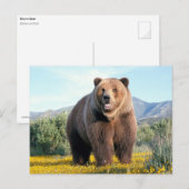 Huge Brown Bear Briefkaart (Voorkant / Achterkant)