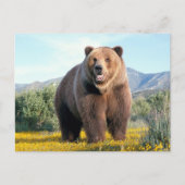 Huge Brown Bear Briefkaart (Voorkant)
