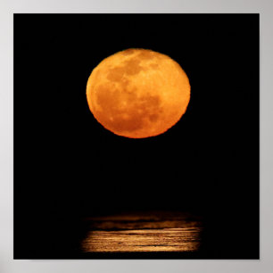 Huge Full Moon South Padre Island, Texas Poster