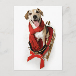 Huge happy glimlach op het gezicht van een puppy d briefkaart