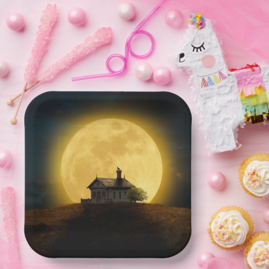 Huge Moon Papieren Bordje (Feest)