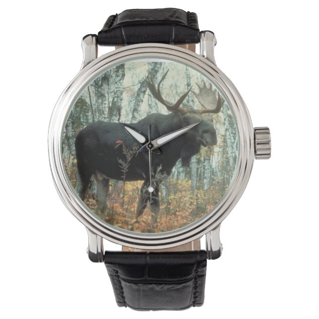 Huge Moose Horloge (Voorkant)