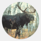 Huge Moose Ronde Sticker (Voorkant)