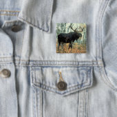 Huge Moose Vierkante Button 5,1 Cm (In situ)