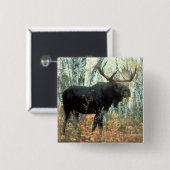 Huge Moose Vierkante Button 5,1 Cm (Voorkant /achterkant)