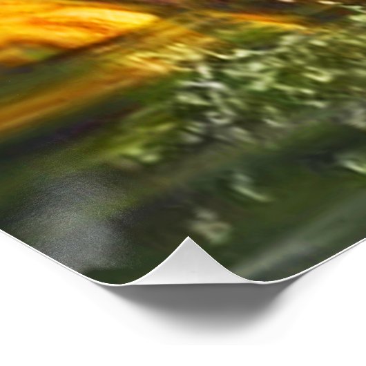 Huge Rainbow Trout Jumping Poster (Hoek)