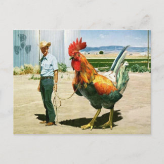 Huge Rooster briefkaart