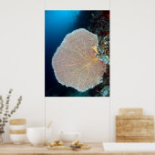Huge Sea Fan in Siquijor Poster (Keuken)