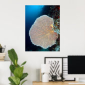 Huge Sea Fan in Siquijor Poster (Thuiskantoor)