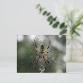 Huge Spider / Geel & Zwarte Argiope Briefkaart (Staand voorkant)