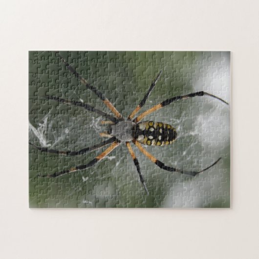 Huge Spider / Geel & Zwarte Argiope Legpuzzel (Horizontaal)