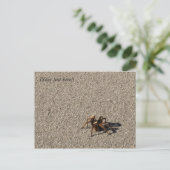 HuGe sPiDeR II Briefkaart (Staand voorkant)