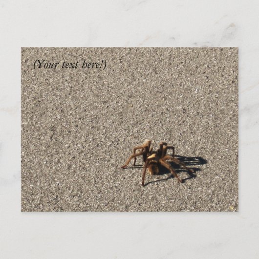 HuGe sPiDeR II Briefkaart (Voorkant)
