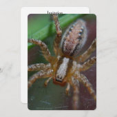 Huge Spider Kaart (Voorkant / Achterkant)