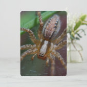 Huge Spider Kaart (Staand voorkant)