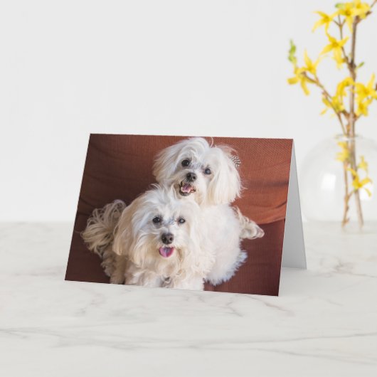 Huggenkaart Kaart (Gele Bloem)