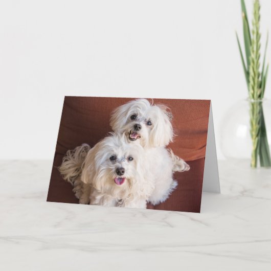 Huggenkaart Kaart (Voorkant)