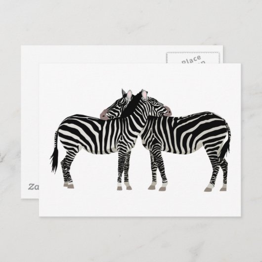 Hugging Zebras Briefkaart (Voorkant / Achterkant)
