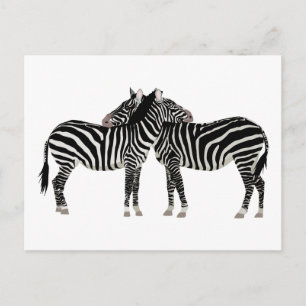 Hugging Zebras Briefkaart