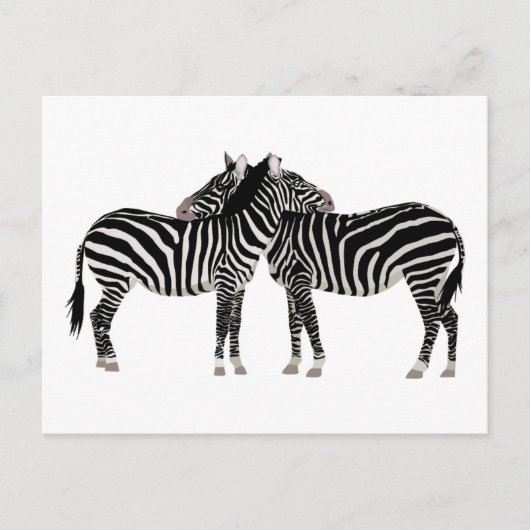 Hugging Zebras Briefkaart (Voorkant)