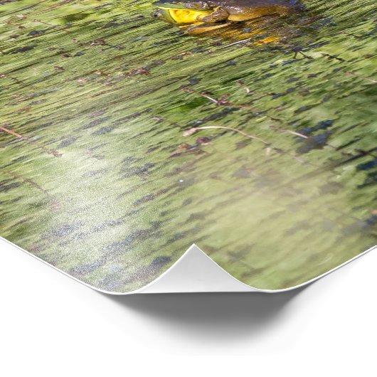 Huggkikkers Foto Afdruk (Hoek)