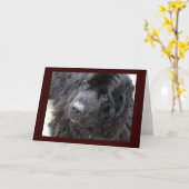 hugo met bruine ogen kaart (Gele Bloem)