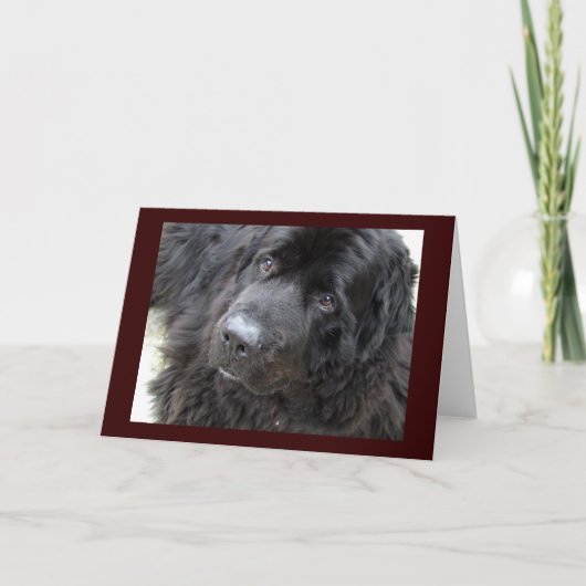 hugo met bruine ogen kaart (Voorkant)