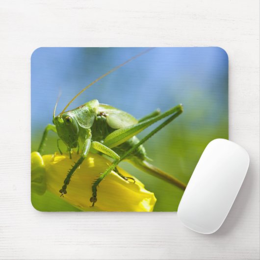 HUGO MUISMAT (Met muis)