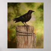 HUGO POSTER (Voorkant)