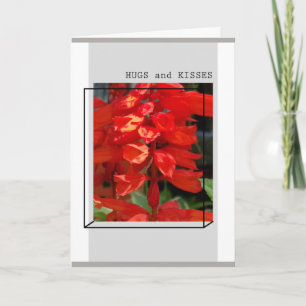 HUGS AND KISSES - GREETING CARD KAART