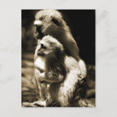 Hugs Briefkaart (Voorkant)