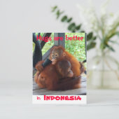 Hugs is beter in Indonesië Briefkaart (Staand voorkant)