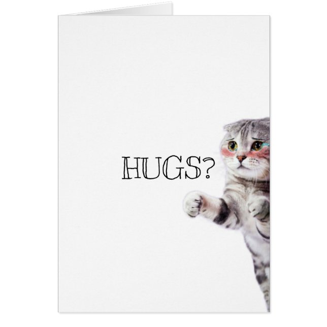 HUGS? Kitten (Voorkant)