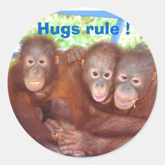Hugs Ronde Sticker (Voorkant)