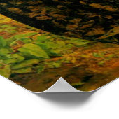 Huguenot Lovers op Saint Bartholonew's Day Poster (Hoek)