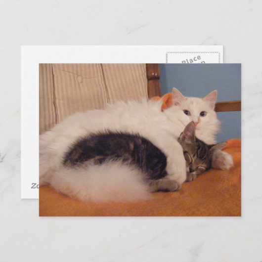 HugZ-briefkaart Briefkaart (Voorkant / Achterkant)