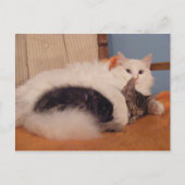 HugZ-briefkaart Briefkaart (Voorkant)