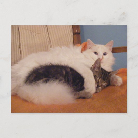 HugZ-briefkaart Briefkaart (Voorkant)