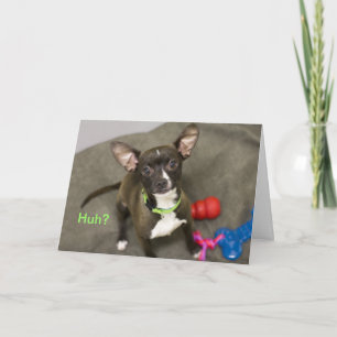 Huh? Chihuahua Verjaardag Kaart