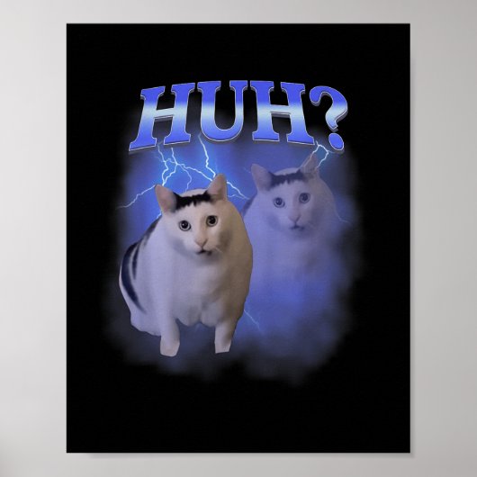 Huh Gekke Cat Meme Funny Oddly Bootleg Specifieke  Poster (Voorkant)