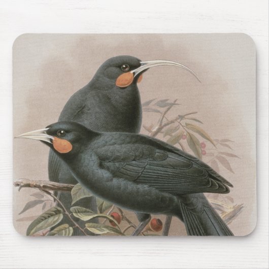 Huia Muismat (Voorkant)