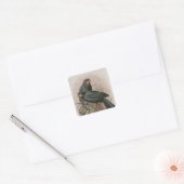 Huia Vierkante Sticker (Envelop)