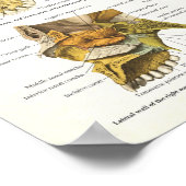 Huid Anatomie Poster 18 X 24 (Hoek)