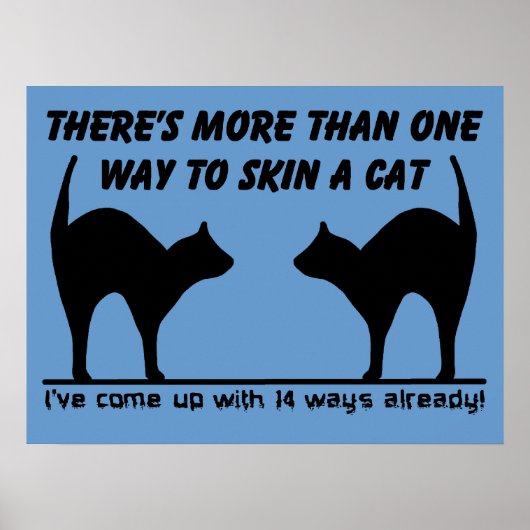 Huid een kat grappige poster afdruk teken humor (Voorkant)